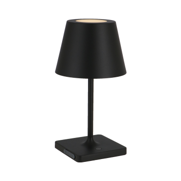 Ari lampe noire